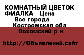 КОМНАТНЫЙ ЦВЕТОК -ФИАЛКА › Цена ­ 1 500 - Все города  »    . Костромская обл.,Вохомский р-н